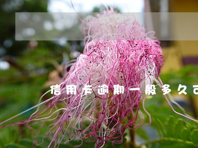 信用卡逾期一般多久可以重新申请