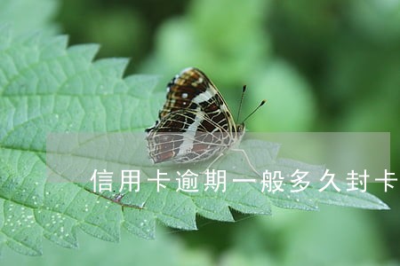 信用卡逾期一般多久封卡 信用卡逾期一般多久封卡