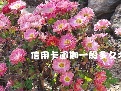 信用卡逾期一般多久才能消除 信用卡逾期一般多久才能消除