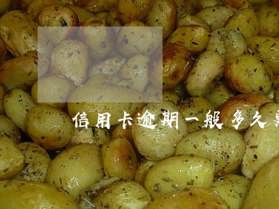 信用卡逾期一般多久更新 信用卡逾期一般多久更新
