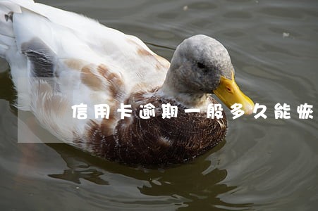 信用卡逾期一般多久能恢复征信 信用卡逾期一般多久能恢复征信