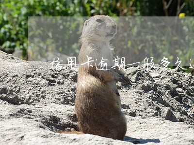 信用卡逾期一般多久还完还能用吗 信用卡逾期一般多久还完还能用吗