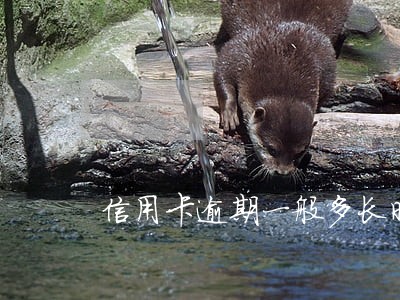 信用卡逾期一般多长时间没事 信用卡逾期一般多长时间没事