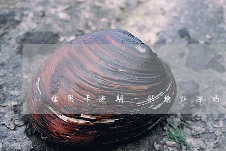 信用卡逾期一般能解冻吗