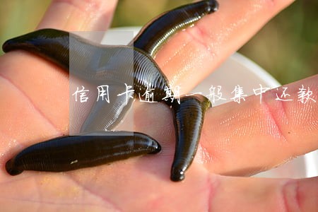 信用卡逾期一般集中还款多少 信用卡逾期一般集中还款多少
