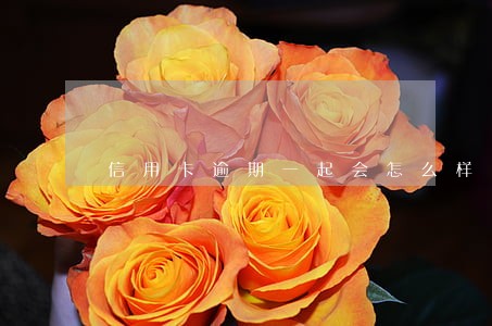 信用卡逾期一起会怎么样 信用卡逾期一起会怎么样