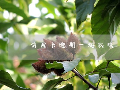 信用卡逾期一起取暖