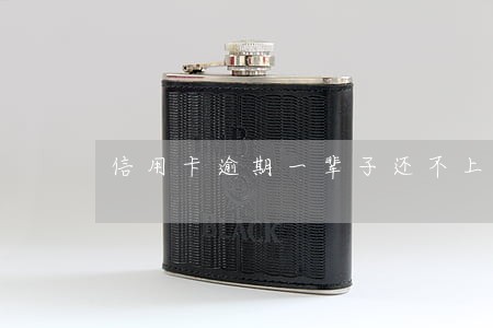 信用卡逾期一辈子还不上怎么办