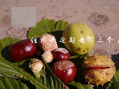 信用卡逾期七万三个月