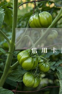 信用卡逾期七万利息违约金多少