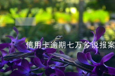 信用卡逾期七万多说报案 信用卡逾期七万多说报案
