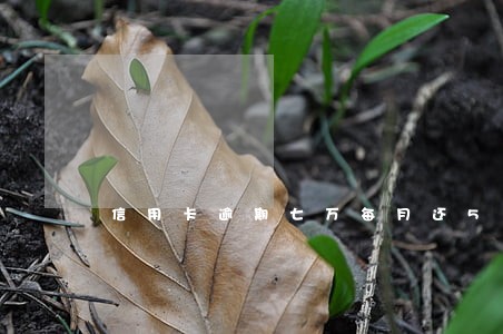 信用卡逾期七万每月还500