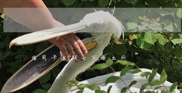 信用卡逾期七万派出所 信用卡逾期七万派出所