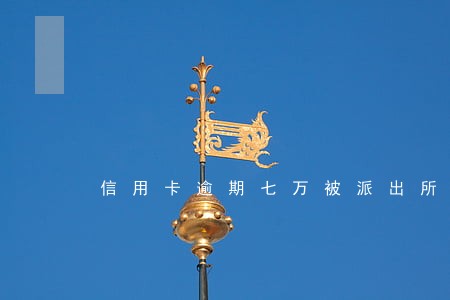 信用卡逾期七万被派出所带走 信用卡逾期七万被派出所带走