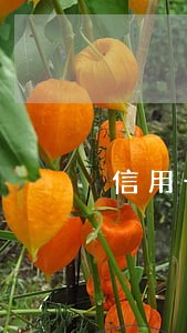 信用卡逾期七个月多久能变白 信用卡逾期七个月多久能变白