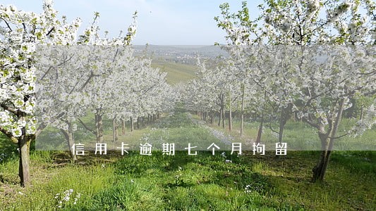 信用卡逾期七个月拘留