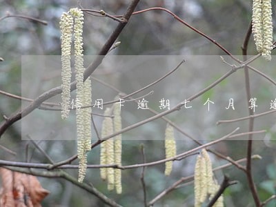 信用卡逾期七个月算逾期几次 信用卡逾期七个月算逾期几次