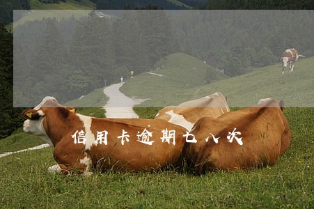 信用卡逾期七八次