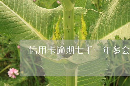 信用卡逾期七千一年多会坐牢
