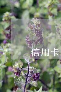 信用卡逾期七千三年上诉了 信用卡逾期七千三年上诉了