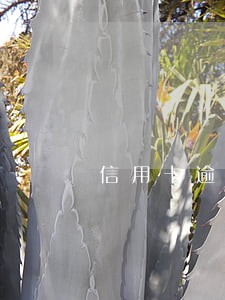 信用卡逾期七千块会上门吗
