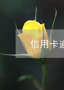 信用卡逾期七天找谁说 信用卡逾期七天找谁说