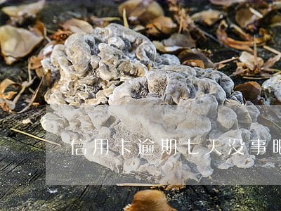 信用卡逾期七天没事吧