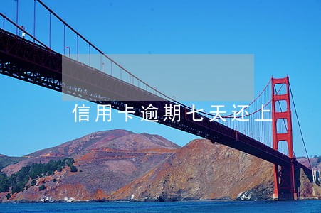 信用卡逾期七天还上