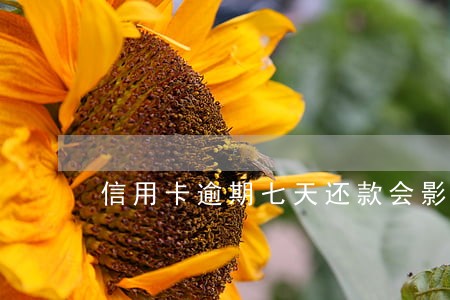 信用卡逾期七天还款会影响信用 信用卡逾期七天还款会影响信用