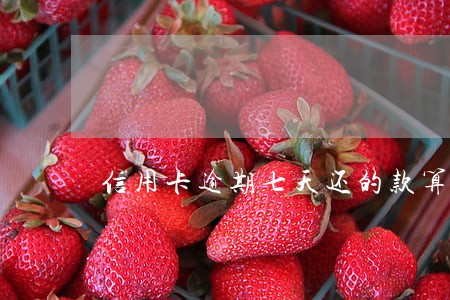 信用卡逾期七天还的款算不算上月