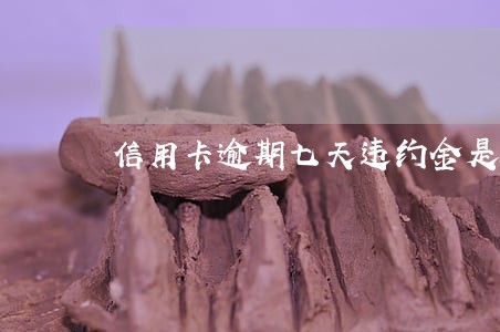 信用卡逾期七天违约金是多少 信用卡逾期七天违约金是多少