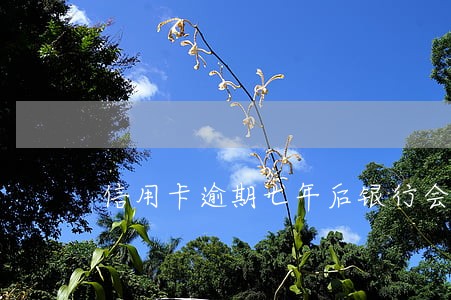 信用卡逾期七年后银行会通知吗 信用卡逾期七年后银行会通知吗