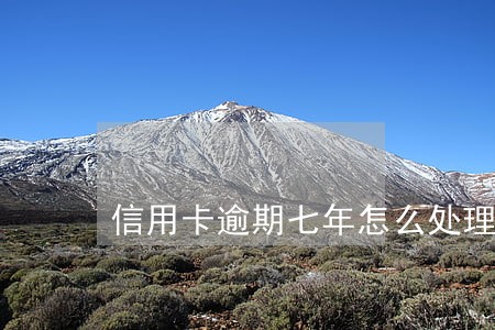 信用卡逾期七年怎么处理 信用卡逾期七年怎么处理