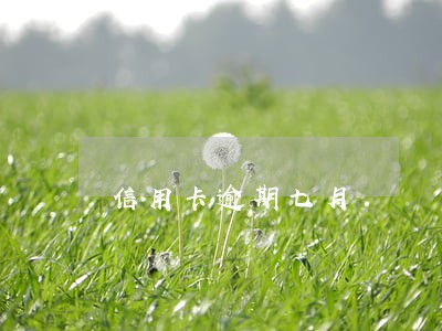 信用卡逾期七月 信用卡逾期七月
