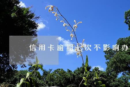 信用卡逾期七次不影响办车贷 信用卡逾期七次不影响办车贷