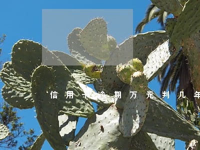 信用卡逾期万元判几年 信用卡逾期万元判几年