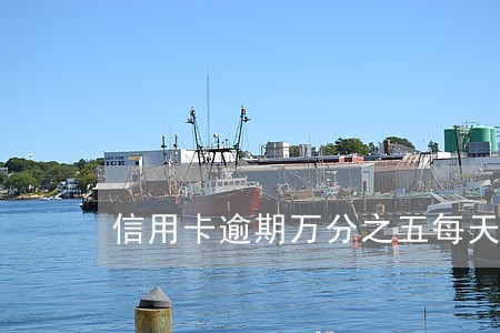信用卡逾期万分之五每天合理吗