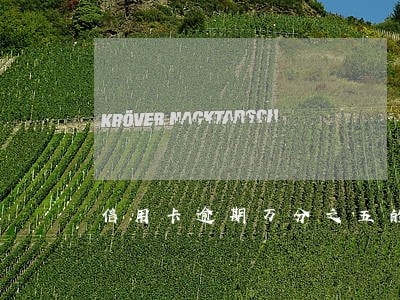 信用卡逾期万分之五的利息吗 信用卡逾期万分之五的利息吗