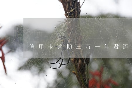 信用卡逾期三万一年没还 信用卡逾期三万一年没还