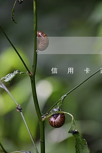 信用卡逾期三万会不会被扣留 信用卡逾期三万会不会被扣留