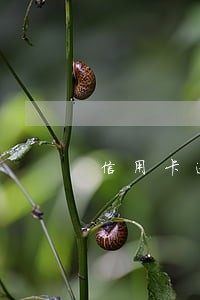 信用卡逾期三万卡被冻结 信用卡逾期三万卡被冻结