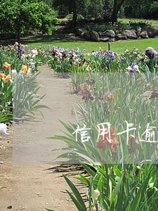 信用卡逾期三万变15万
