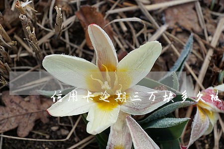 信用卡逾期三万块多久被起诉 信用卡逾期三万块多久被起诉