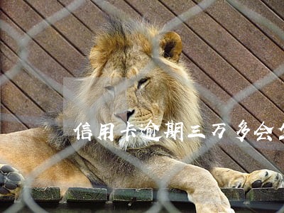 信用卡逾期三万多会坐牢吗 信用卡逾期三万多会坐牢吗