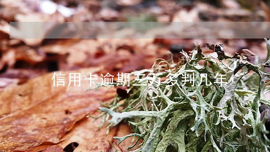 信用卡逾期三万多判几年 信用卡逾期三万多判几年