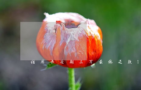 信用卡逾期三万最低还款1万 信用卡逾期三万最低还款1万