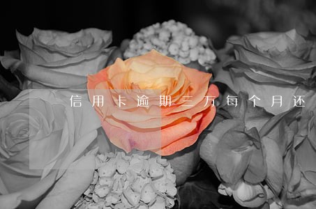 信用卡逾期三万每个月还 信用卡逾期三万每个月还