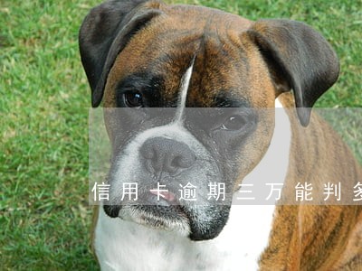 信用卡逾期三万能判多少年 信用卡逾期三万能判多少年