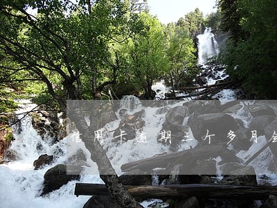 信用卡逾期三个多月会被拉黑吗