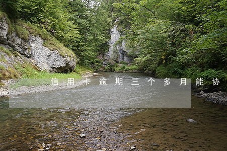 信用卡逾期三个多月能协商 信用卡逾期三个多月能协商